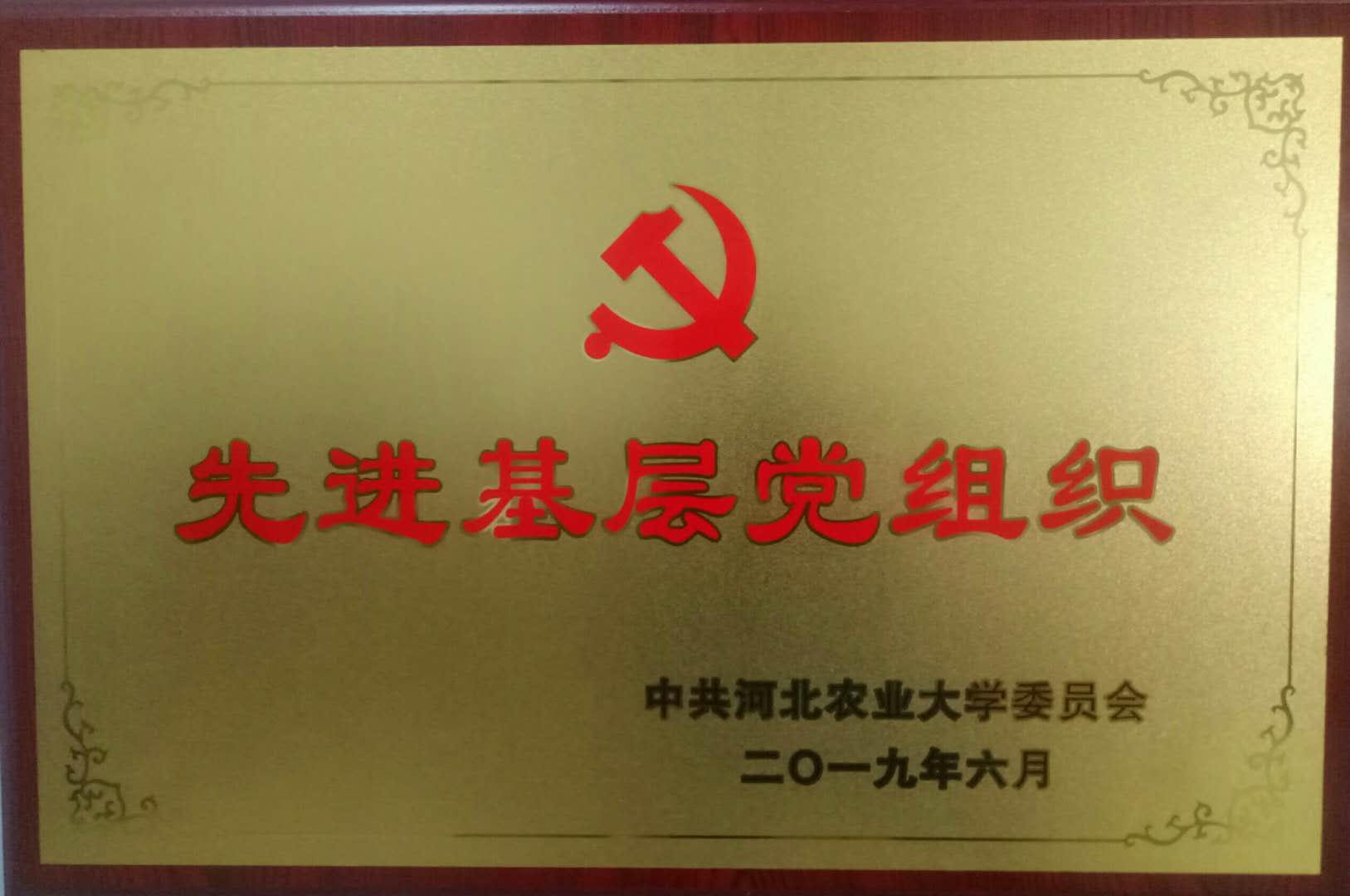 先进基层党组织.jpg 先进基层党组织.jpg