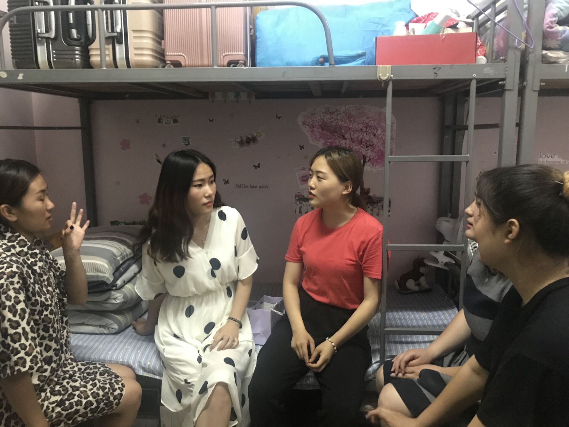 新老生02.jpg 新老生02.jpg
